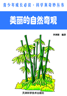 美麗的自然奇觀（青少年成長必讀·科學真奇妙叢書）