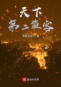 天下第二盜客