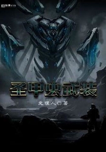 圣甲蟲武裝