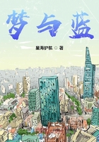 蓝色的城市在线阅读