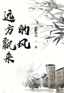 遠方飄來的風