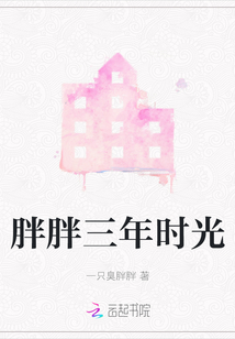 胖胖三年時光