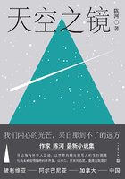 天空之镜在线阅读