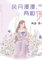風月漫漫，兩相傷在線閱讀