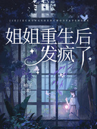 姐姐重生后發(fā)瘋了在線閱讀