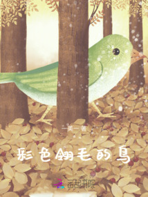 彩色翎毛的鳥