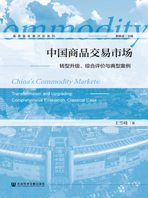 中國商品交易市場:轉型升級、綜合評價與典型案例