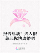报告总裁!夫人假慈悲你快离婚吧在线阅读