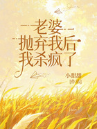 老婆抛弃我后，我杀疯了在线阅读