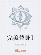 完美替身1在线阅读