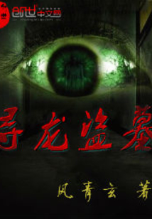 寻龙盗墓 cover