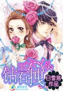 鉆石王子拽丫頭
