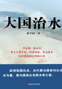 大國治水