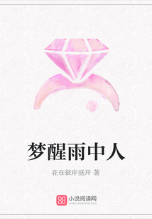 夢醒雨中人