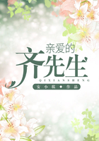 親愛的齊先生在線閱讀