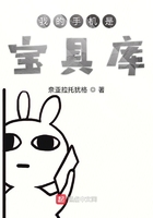 我的手机是宝具库