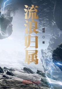流浪歸屬