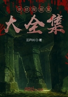 徐侦探探案大全集在线阅读