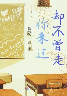 你來過卻不曾走