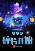 從收集碎片開始在線閱讀
