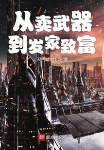 從賣武器到發家致富