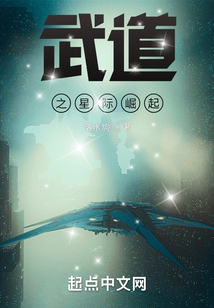 武道之星際崛起