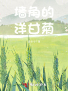 墻角的洋甘菊在線閱讀
