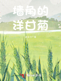 墻角的洋甘菊
