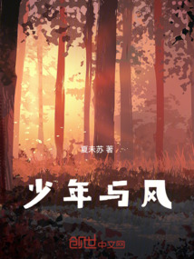 少年與風