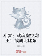 斗罗:武魂虚空龙王!截胡比比东在线阅读