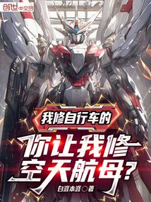 我修自行車的,你讓我修空天航母