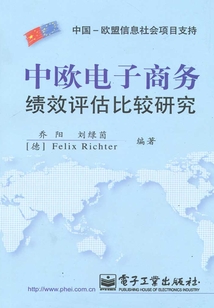 中欧电子商务绩效评估比较研究