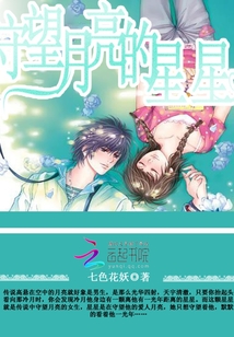 守望月亮的星星