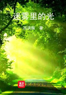 迷霧里的光