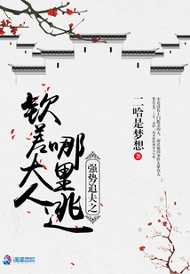 強(qiáng)勢追夫之欽差大人哪里逃