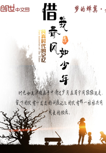 借我春風如少年