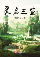 灵启三生在线阅读