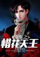 重生之惜花天王