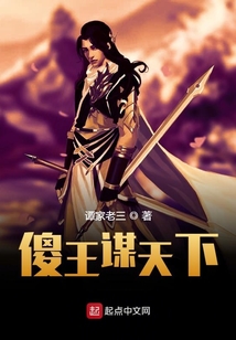 傻王謀天下