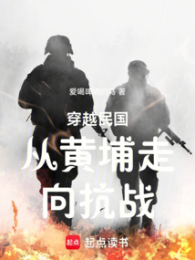 穿越民國從黃埔走向抗戰