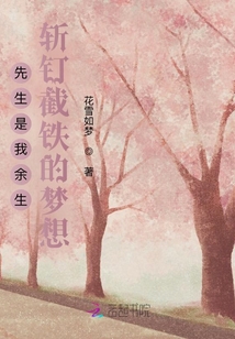 先生是我余生斩钉截铁的梦想