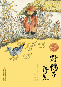 野鸭子再见