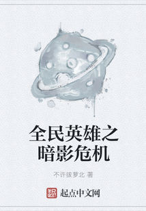 全民英雄之暗影危機