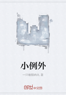 小例外