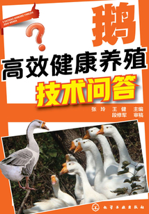 鵝高效健康養殖技術問