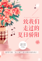 致我們走過的夏日驕陽在線閱讀
