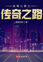 愛(ài)情公寓之傳奇之路在線閱讀