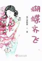 蝴蝶齐飞在线阅读