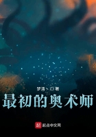 最初的奥术师在线阅读