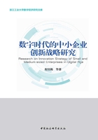 数字时代的中小企业创新战略研究在线阅读